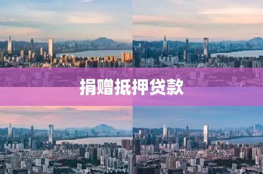 捐赠抵押贷款