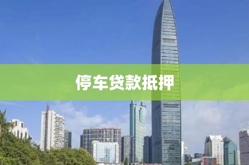 停车贷款抵押