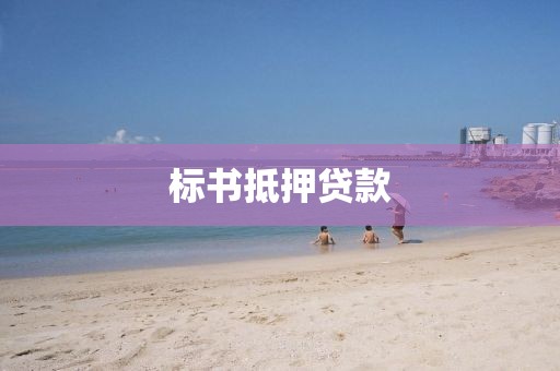 标书抵押贷款