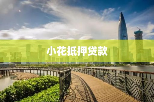 小花抵押贷款