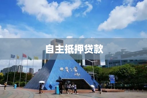 自主抵押贷款