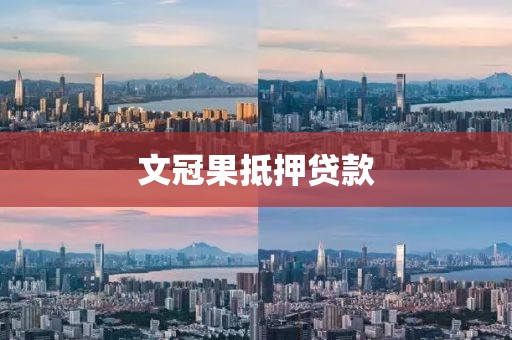 文冠果抵押贷款