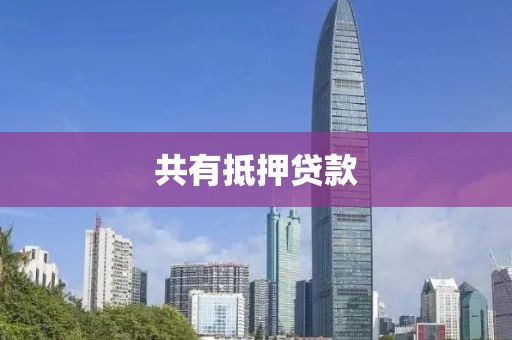 共有抵押贷款