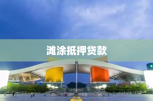 滩涂抵押贷款