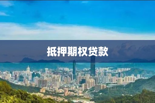 抵押期权贷款