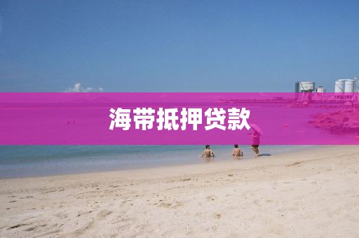 海带抵押贷款