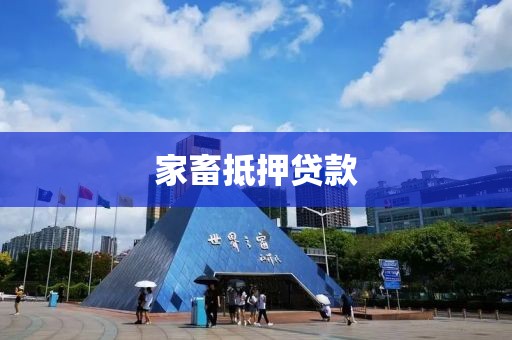 家畜抵押贷款