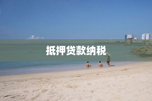 抵押贷款纳税