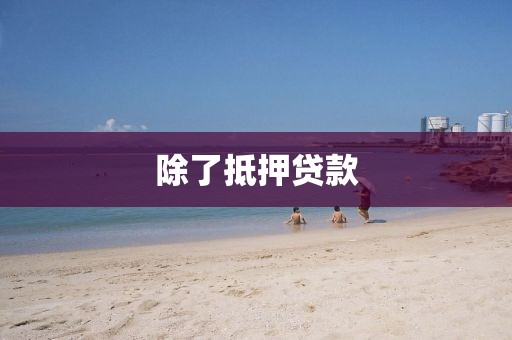 除了抵押贷款