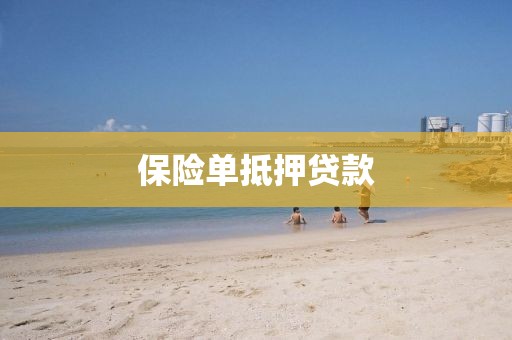 保险单抵押贷款
