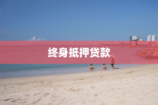 终身抵押贷款