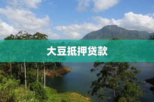 大豆抵押贷款