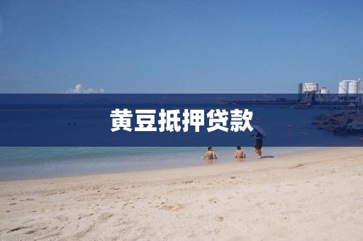 黄豆抵押贷款