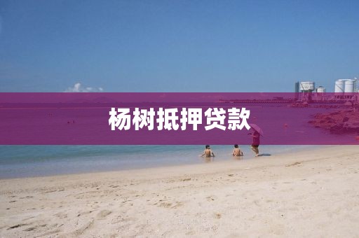 杨树抵押贷款