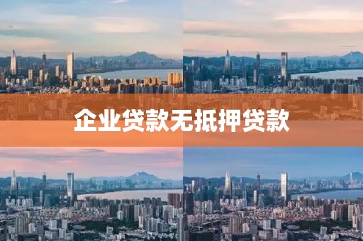 企业贷款无抵押贷款