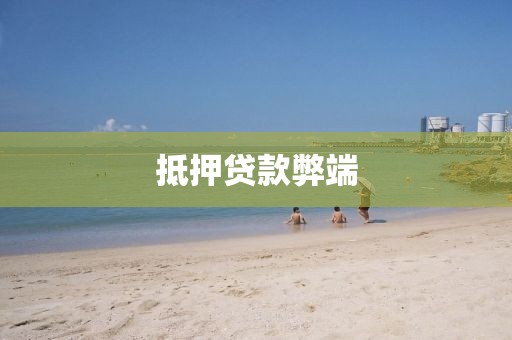 抵押贷款弊端