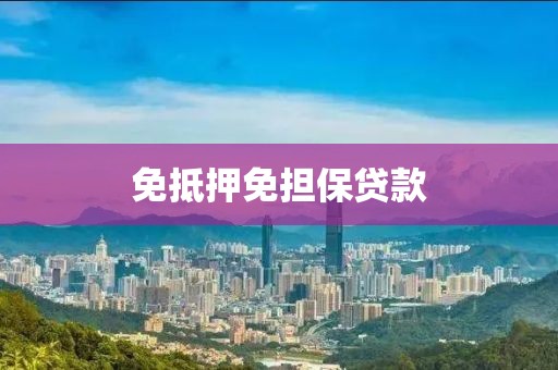 免抵押免担保贷款