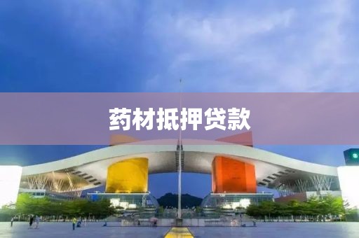 药材抵押贷款