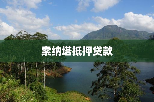索纳塔抵押贷款