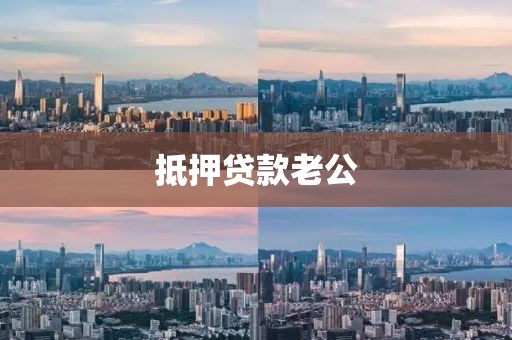 抵押贷款老公