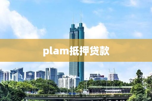 plam抵押贷款