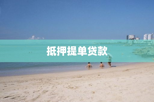 抵押提单贷款