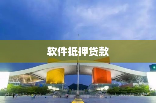 软件抵押贷款