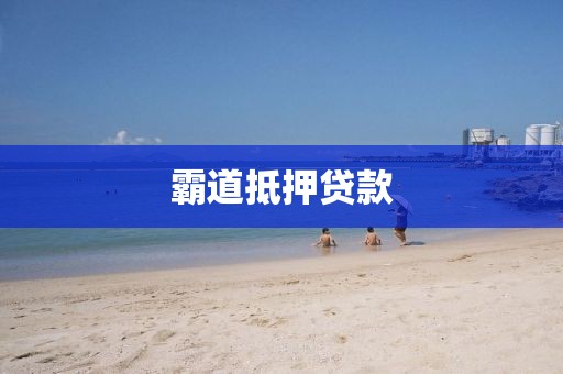 霸道抵押贷款