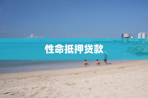 性命抵押贷款