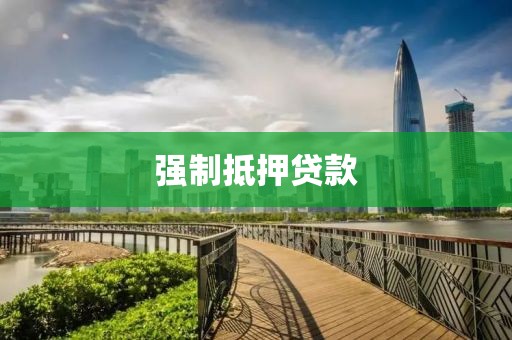 强制抵押贷款