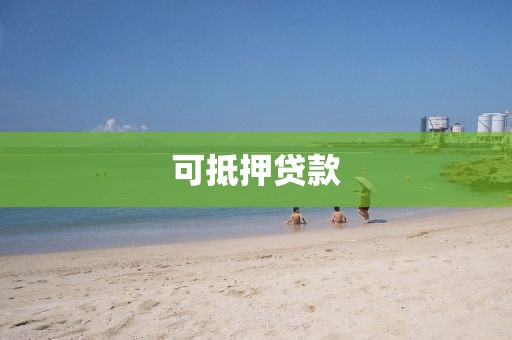 可抵押贷款