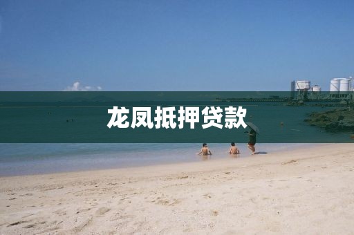 龙凤抵押贷款