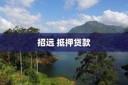 招远 抵押贷款