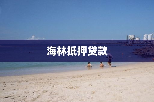 海林抵押贷款