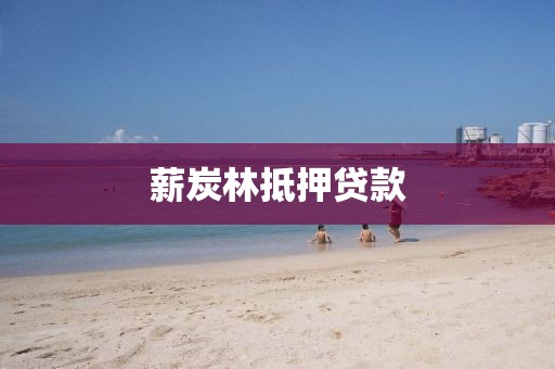 薪炭林抵押贷款