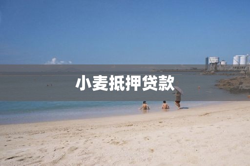 小麦抵押贷款