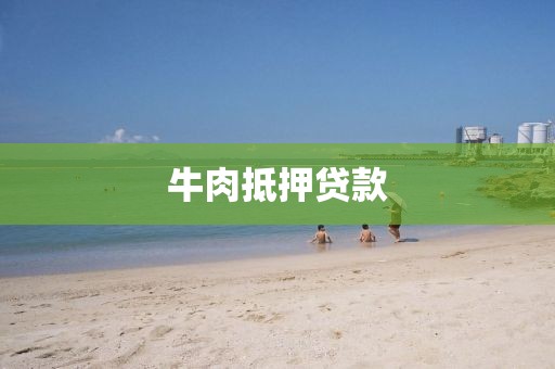 牛肉抵押贷款