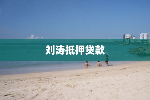 刘涛抵押贷款