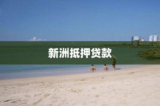 新洲抵押贷款
