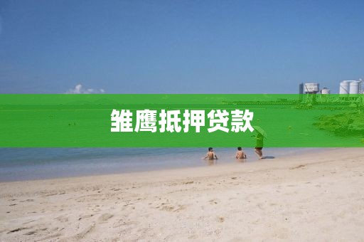雏鹰抵押贷款