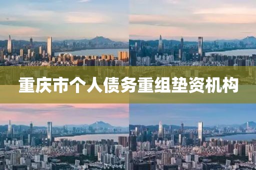 重庆市个人债务重组垫资机构