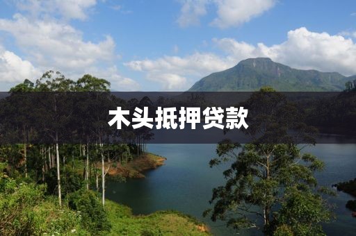 木头抵押贷款