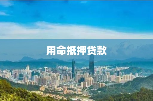 用命抵押贷款