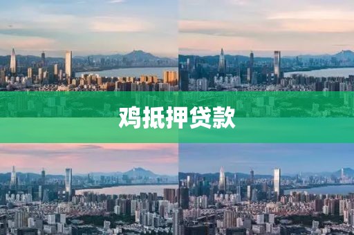 鸡抵押贷款