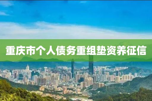 重庆市个人债务重组垫资养征信