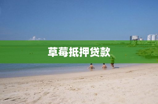 草莓抵押贷款