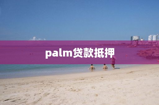 palm贷款抵押