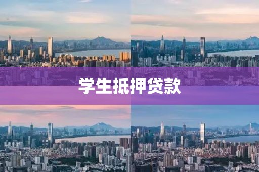 学生抵押贷款