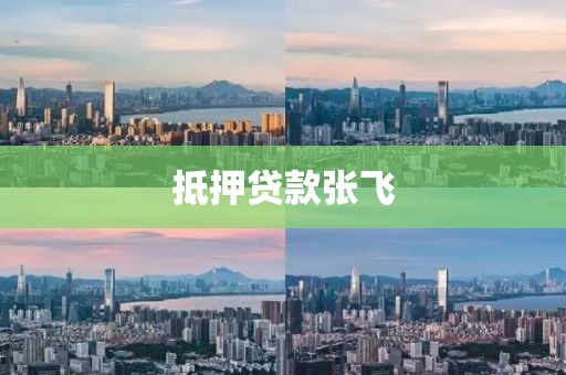 抵押贷款张飞