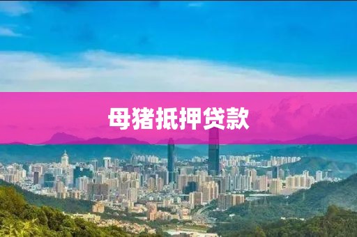 母猪抵押贷款